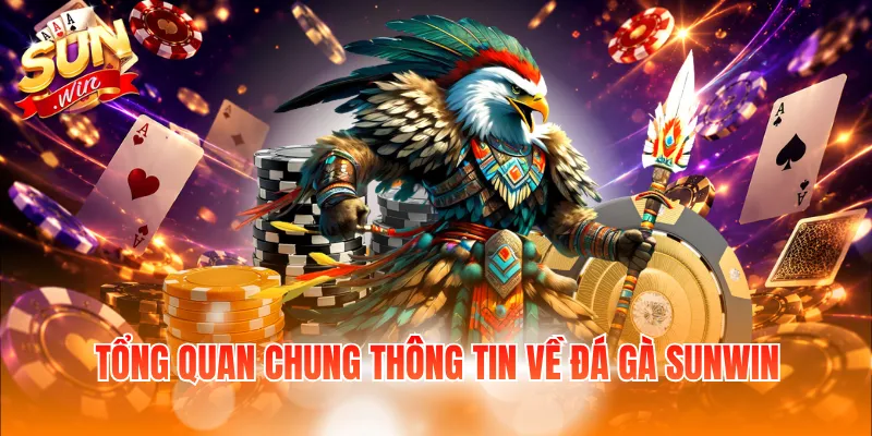 Tổng quan chung thông tin về đá gà Sunwin